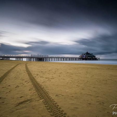 Studio Mare Nostrum Blankenberge Bagian luar foto